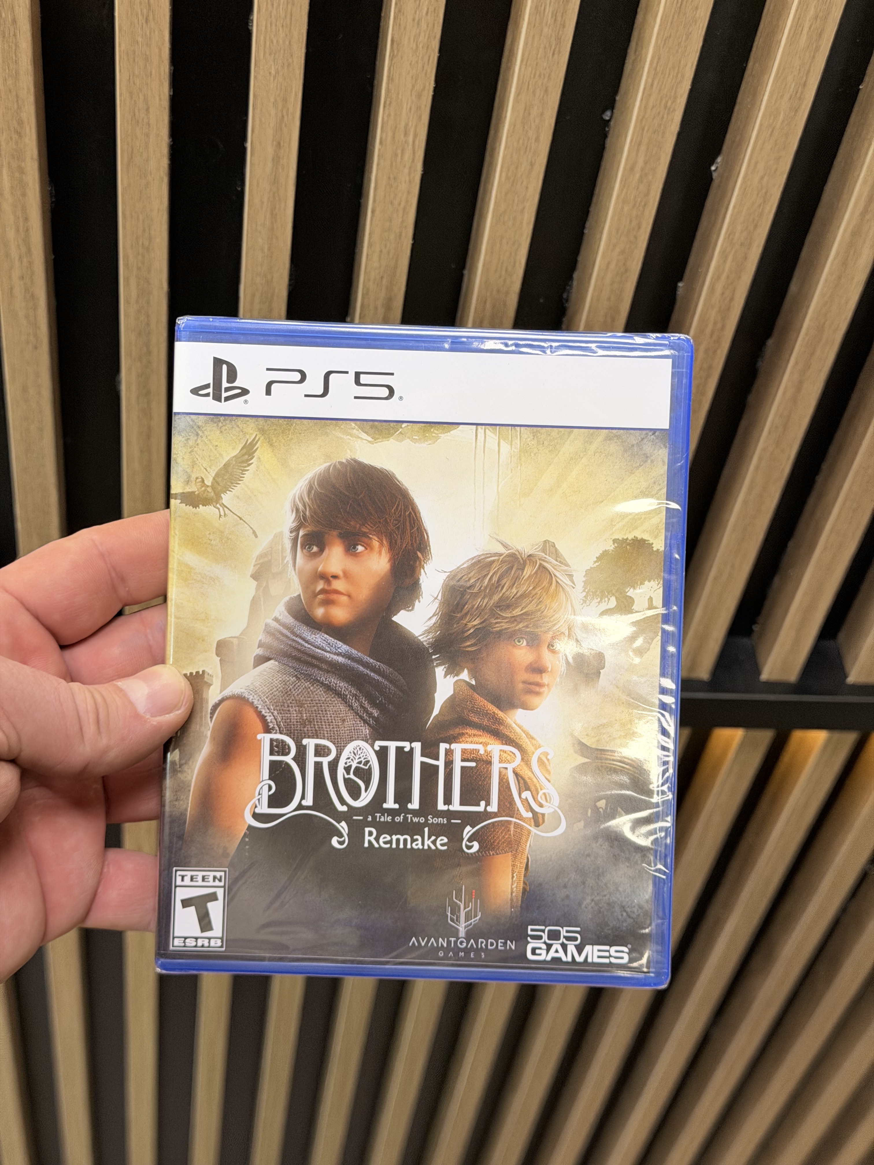 Игра Brothers A Tale of Two Sons Remake для PS5, английский язык, диск (Новый)