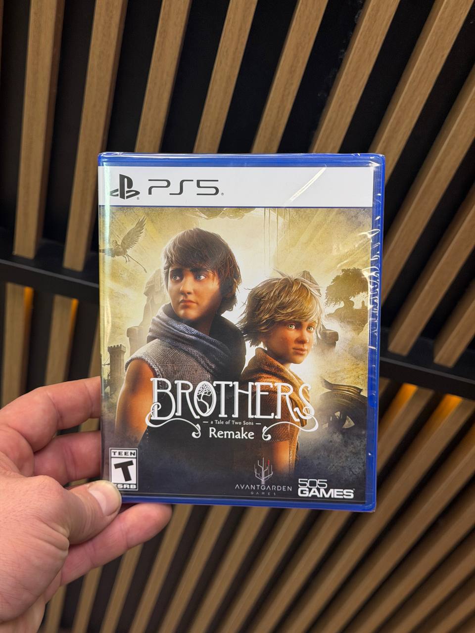 Игра Brothers: A Tale of Two Sons Remake для PlayStation 5, английский язык, диск (Новый)